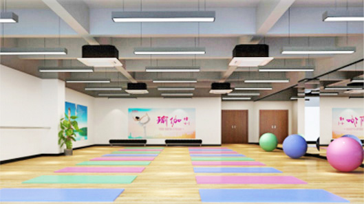 舞蹈室/瑜伽室